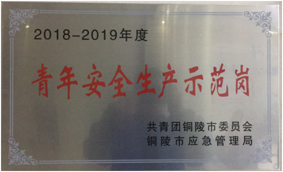 銅陵市青年安全生產(chǎn)示范崗.png